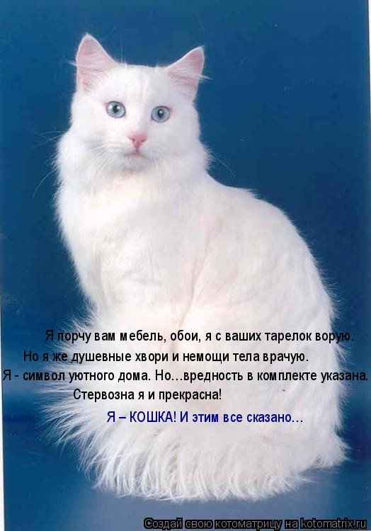 Котоматрица: Я - символ уютного дома. Но…вредность в комплекте указана. Стервозна я и прекрасна!  Я – КОШКА! И этим все сказано… Я порчу вам мебель, обои, 