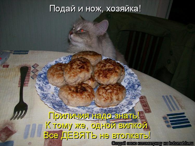 Подай и нож, хозяйка! Приличия надо знать! К тому же, одной вилкой Все ДЕВЯТЬ не втолкать!... Котоматрица: Подай и нож, хозяйка! Приличия надо знать! К тому же, одной вилкой Все ДЕВЯТЬ не втолкать!