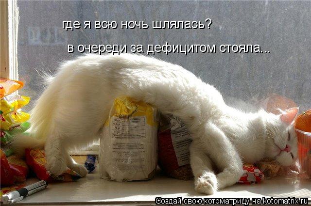 где я всю ночь шлялась? в очереди за дефицитом стояла...... Котоматрица: где я всю ночь шлялась? в очереди за дефицитом стояла...