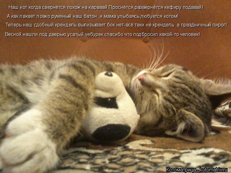 Котоматрица: Наш кот когда свернётся похож на каравай.Проснётся,развернётся кефиру подавай! А как лакает ловко румяный наш батон ,и мама улыбаясь,любует