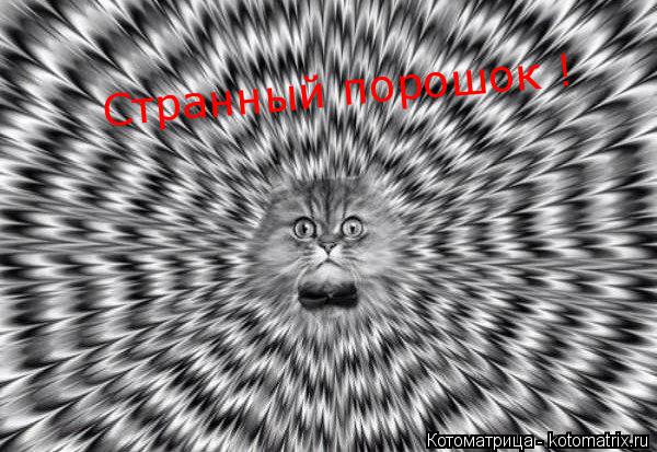 Котоматрица: Странный порошок !