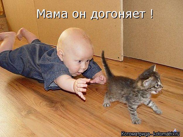 Котоматрица: Мама он догоняет !