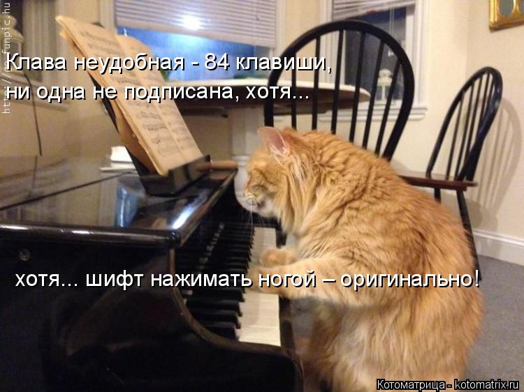 Котоматрица: ни одна не подписана, хотя...  Клава неyдобная - 84 клавиши,  хотя... шифт нажимать ногой – оpигинально!