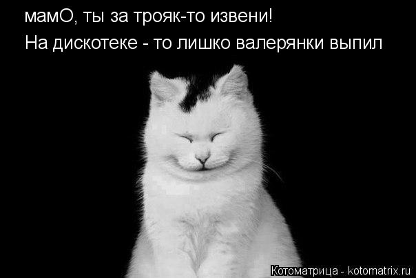 Котоматрица: мамО, ты за трояк-то извени! На дискотеке - то лишко валерянки выпил