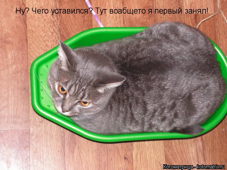 Котоматрица: Ну? Чего уставился? Тут воабщето я первый занял!
