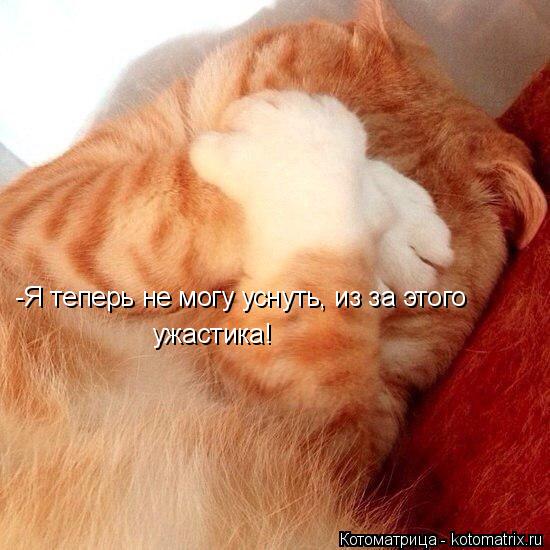 Котоматрица: -Я теперь не могу уснуть, из за этого  ужастика!