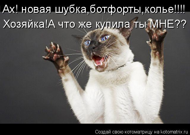 Котоматрица: Ах! новая шубка,ботфорты,колье!!!! Хозяйка!А что же купила ты МНЕ??