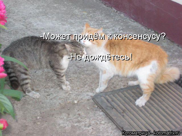 Котоматрица: -Может придём к консенсусу? -Не дождётесь!