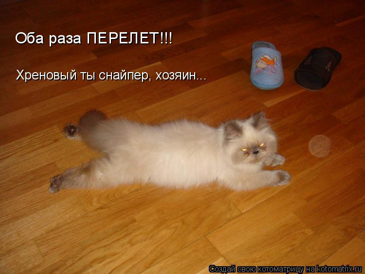 Котоматрица: Хреновый ты снайпер, хозяин... Оба раза ПЕРЕЛЕТ!!!