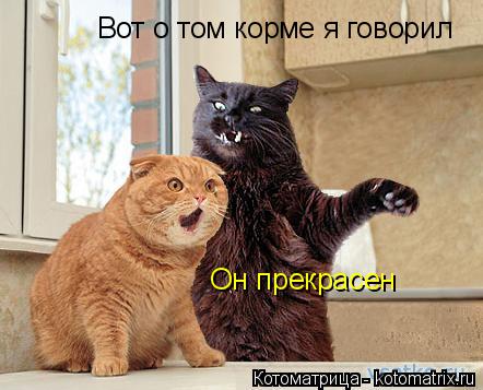 Вот о том корме я говорил Он прекрасен... Котоматрица: Вот о том корме я говорил Он прекрасен