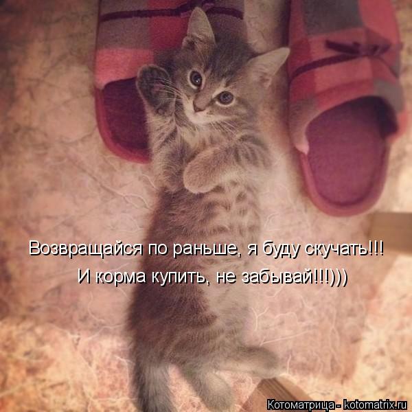 Котоматрица: Возвращайся по раньше, я буду скучать!!! И корма купить, не забывай!!!)))