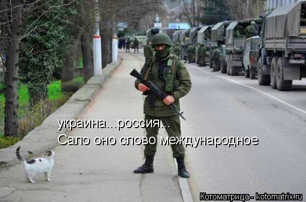 Сало оно слово международное украина...россия...... Котоматрица: Сало оно слово международное украина...россия...