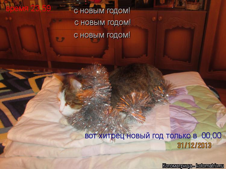с новым годом! с новым годом! с новым годом! вот хитрец новый год только в 00,00 время 23,59... Котоматрица: с новым годом! с новым годом! с новым годом! вот хитрец новый год только в 00,00 время 23,59