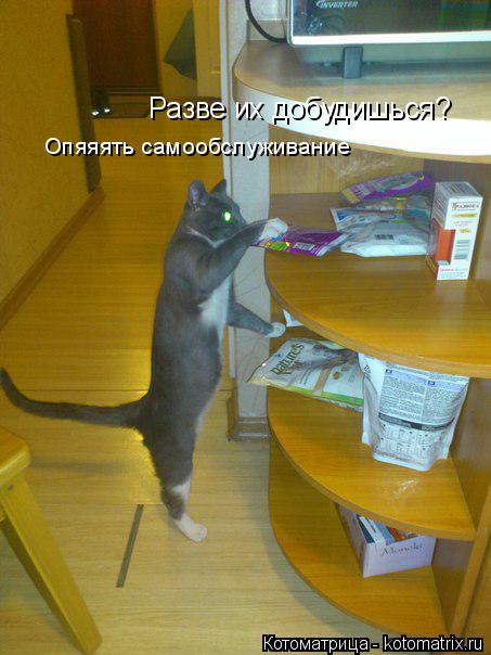 Разве их добудишься? Опяяять самообслуживание... Котоматрица: Разве их добудишься? Опяяять самообслуживание