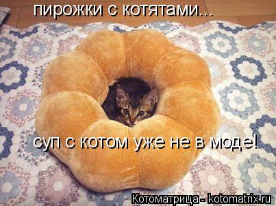 пирожки с котятами... суп с котом уже не в моде!... Котоматрица: пирожки с котятами... суп с котом уже не в моде!