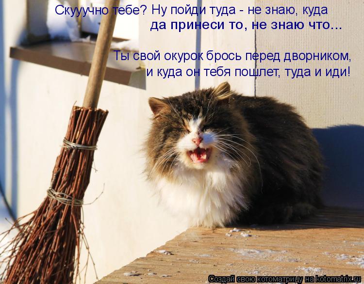 Котоматрица: Скууучно тебе? Ну пойди туда - не знаю, куда  да принеси то, не знаю что... Ты свой окурок брось перед дворником, и куда он тебя пошлет, туда и ид