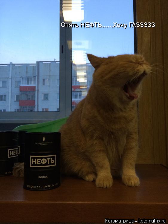 Котоматрица: Опять НЕФТЬ......Хочу ГАЗЗЗЗЗ