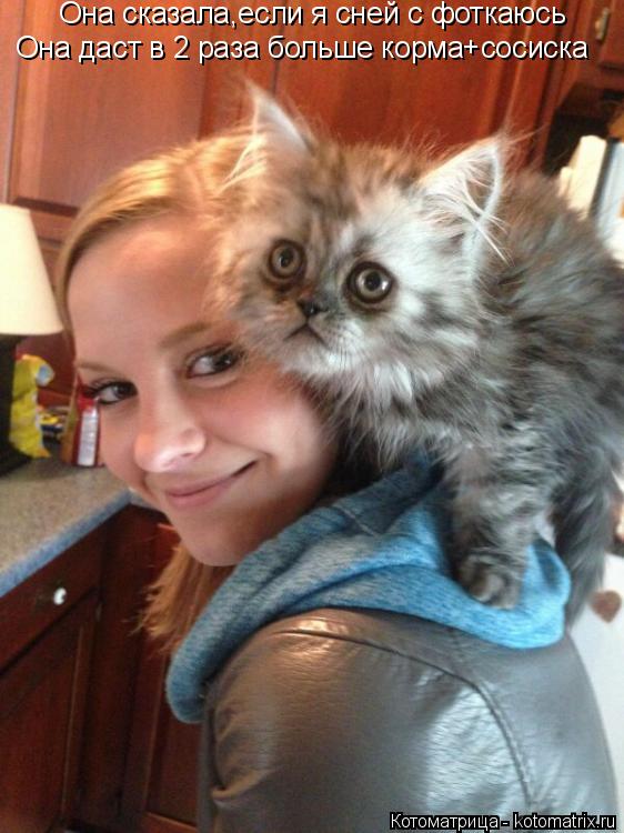 Она сказала,если я сней с фоткаюсь Она даст в 2 раза больше корма+сосиска... Котоматрица: Она сказала,если я сней с фоткаюсь Она даст в 2 раза больше корма+сосиска