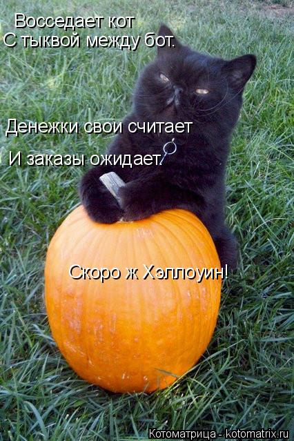 Котоматрица: Восседает кот С тыквой между бот. Денежки свои считает  И заказы ожидает. Скоро ж Хэллоуин!