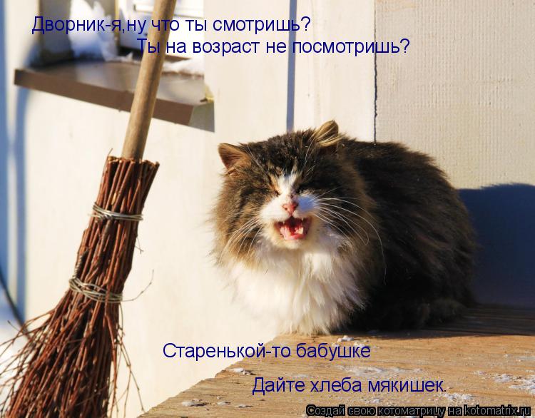 Котоматрица: Дворник-я,ну что ты смотришь? Ты на возраст не посмотришь? Старенькой-то бабушке Дайте хлеба мякишек.