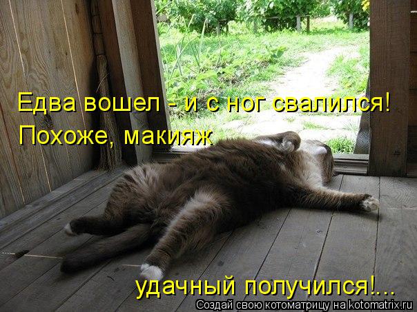 Едва вошел - и с ног свалился! Похоже, макияж удачный получился!...... Котоматрица: Едва вошел - и с ног свалился! Похоже, макияж удачный получился!...
