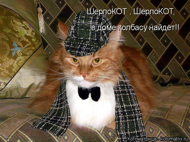 Котоматрица: ШерлоКОТ , ШерлоКОТ, в доме колбасу найдёт!!