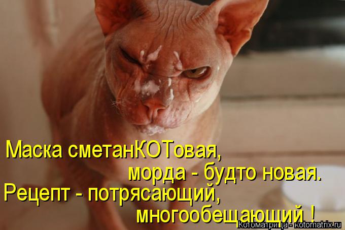 Маска сметанКОТовая, морда - будто новая. Рецепт - потрясающий, многообещающий !... Котоматрица: Маска сметанКОТовая, морда - будто новая. Рецепт - потрясающий, многообещающий !