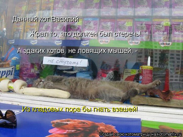 Данный кот Василий Жрал то, что должен был стеречь! А эдаких котов, не ловящих мышей, - Из кладовых ... Котоматрица: Данный кот Василий Жрал то, что должен был стеречь! А эдаких котов, не ловящих мышей, - Из кладовых пора бы гнать взашей!