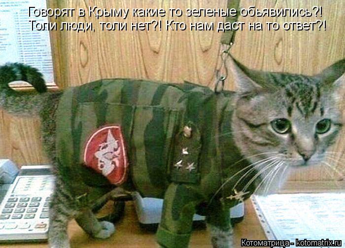Котоматрица: Говорят в Крыму какие то зеленые обьявились?! Толи люди, толи нет?! Кто нам даст на то ответ?!