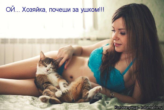 Котоматрица: ОЙ... Хозяйка, почеши за ушком!!!