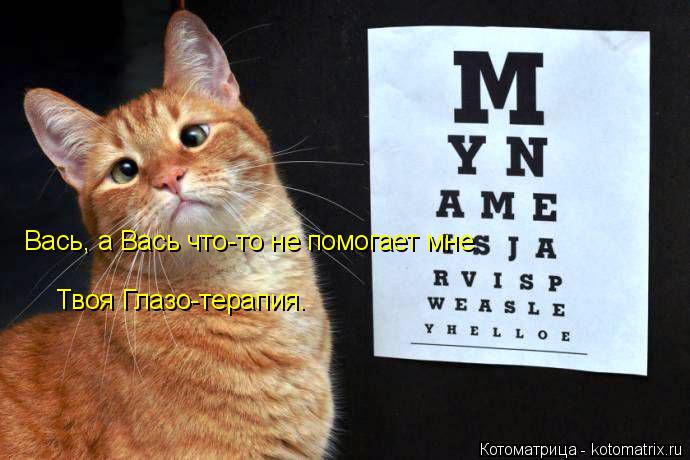 Котоматрица: Вась, а Вась что-то не помогает мне Твоя Глазо-терапия.