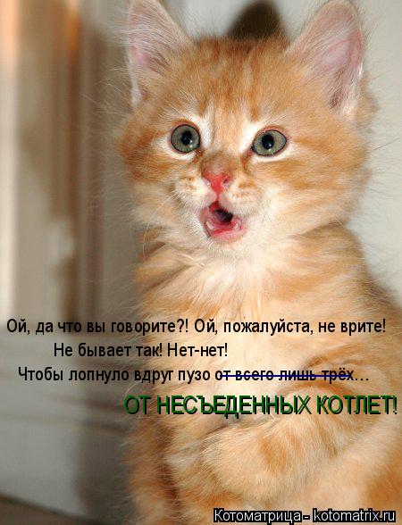 Котоматрица: Ой, да что вы говорите?! Ой, пожалуйста, не врите! Не бывает так! Нет-нет! Чтобы лопнуло вдруг пузо от всего лишь трёх… _______ ОТ НЕСЪЕДЕННЫХ КОТЛ