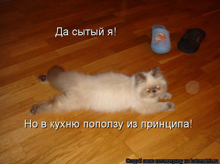 Котоматрица: Да сытый я! Но в кухню поползу из принципа!