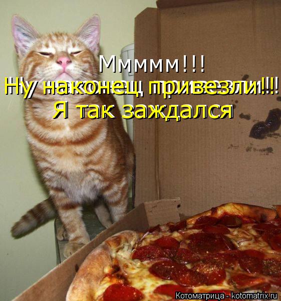Котоматрица: Ммммм!!! Ну наконец привезли!! Я так заждался Я так заждался Ну наконец привезли!!