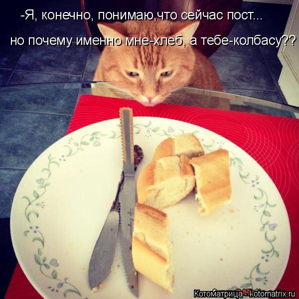 -Я, конечно, понимаю,что сейчас пост... но почему именно мне-хлеб, а тебе-колбасу??... Котоматрица: -Я, конечно, понимаю,что сейчас пост... но почему именно мне-хлеб, а тебе-колбасу??