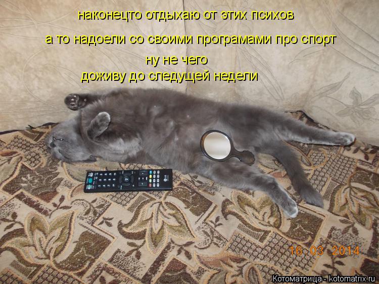 наконецто отдыхаю от этих психов а то надоели со своими програмами про спорт ну не чего доживу до сле... Котоматрица: наконецто отдыхаю от этих психов а то надоели со своими програмами про спорт ну не чего доживу до следущей недели