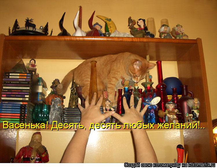 Котоматрица: Васенька! Десять, десять любых желаний!..