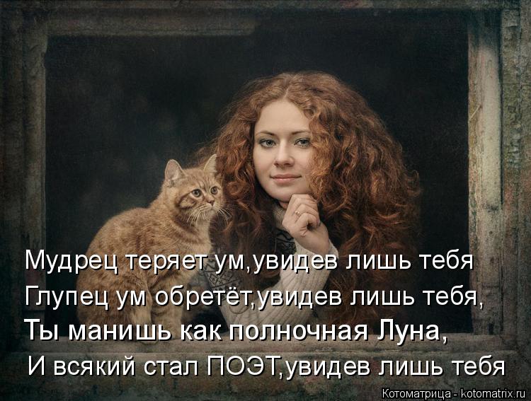Котоматрица: Мудрец теряет ум,увидев лишь тебя Глупец ум обретёт,увидев лишь тебя, Ты манишь как полночная Луна, И всякий стал ПОЭТ,увидев лишь тебя