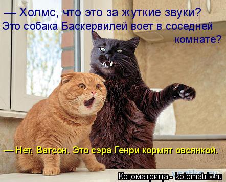 Котоматрица: — Холмс, что это за жуткие звуки?  Это собака Баскервилей воет в соседней  комнате? — Нет, Ватсон. Это сэра Генри кормят овсянкой.