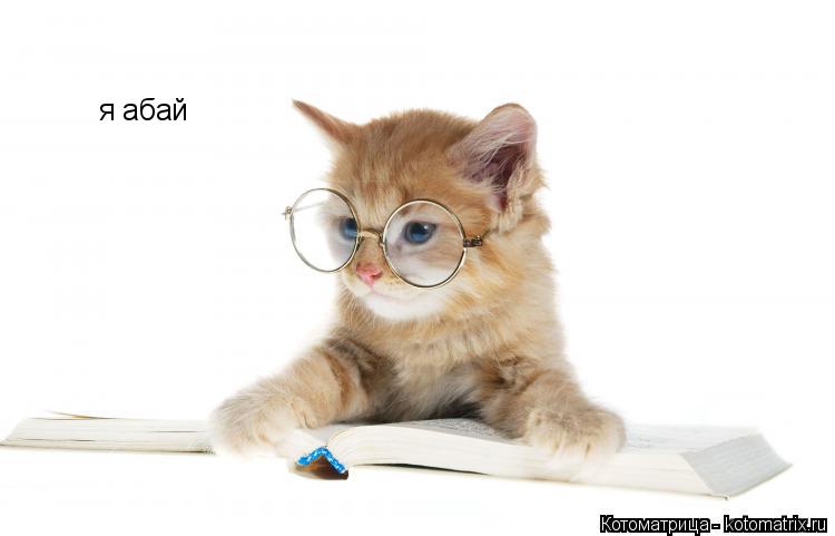 Котоматрица: я абай