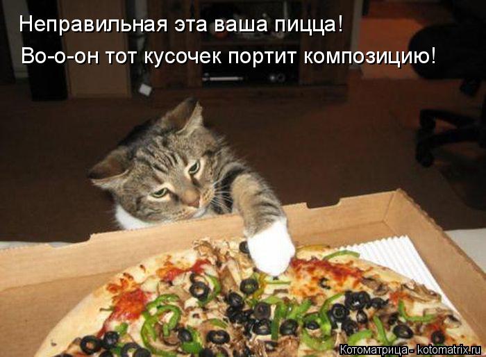 Котоматрица: Неправильная эта ваша пицца! Во-о-он тот кусочек портит композицию!