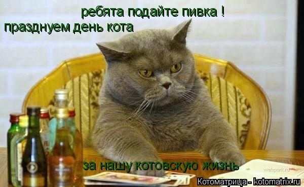 Котоматрица: ребята подайте пивка ! за нашу котовскую жизнь  празднуем день кота