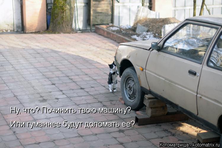 Котоматрица: Или гуманнее будут доломать ее? Ну, что? Починить твою машину?