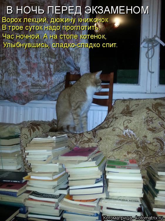 Котоматрица: В НОЧЬ ПЕРЕД ЭКЗАМЕНОМ Ворох лекций, дюжину книжонок В трое суток надо проглотить. Час ночной. А на столе котенок, Улыбнувшись, сладко-сладк