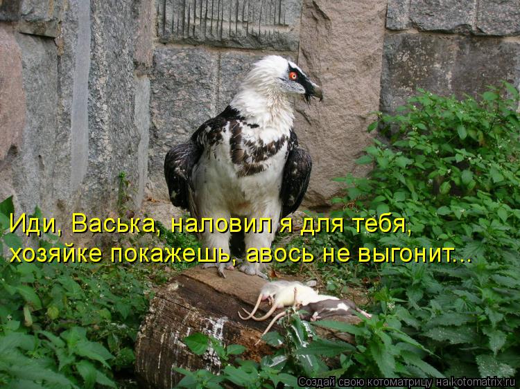 Иди, Васька, наловил я для тебя, хозяйке покажешь, авось не выгонит...... Котоматрица: Иди, Васька, наловил я для тебя, хозяйке покажешь, авось не выгонит...