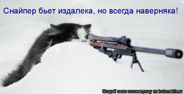 Котоматрица: Снайпер бьет издалека, но всегда наверняка!