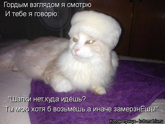 Котоматрица: Гордым взглядом я смотрю И тебе я говорю: "Шапки нет,куда идёшь? Ты мою хотя б возьмёшь,а иначе замерзнЁшь!"