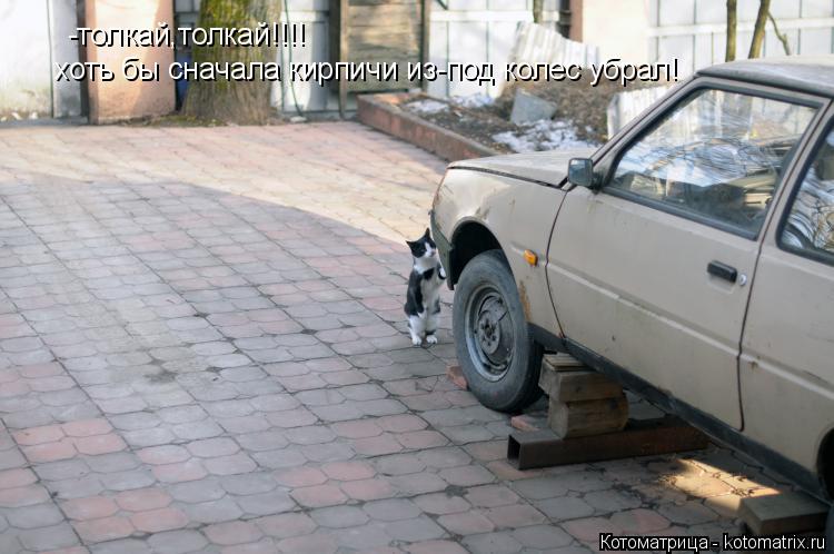 -толкай,толкай!!!! хоть бы сначала кирпичи из-под колес убрал!... Котоматрица: -толкай,толкай!!!! хоть бы сначала кирпичи из-под колес убрал!