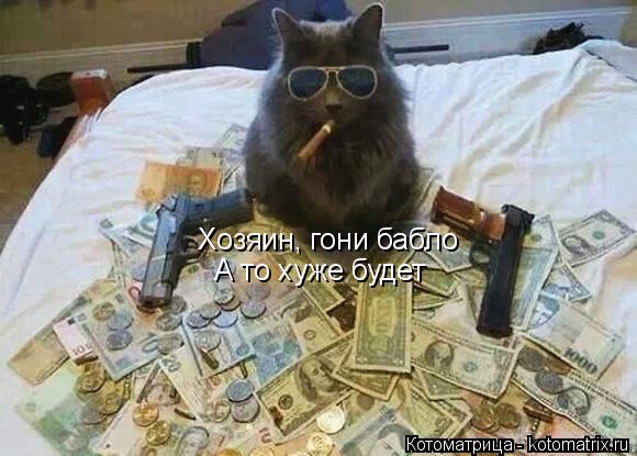 Хозяин, гони бабло А то хуже будет... Котоматрица: Хозяин, гони бабло А то хуже будет