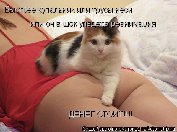 Быстрее купальник или трусы неси или он в шок упадет,а реанимация ДЕНЕГ СТОИТ!!!!... Котоматрица: Быстрее купальник или трусы неси или он в шок упадет,а реанимация ДЕНЕГ СТОИТ!!!!